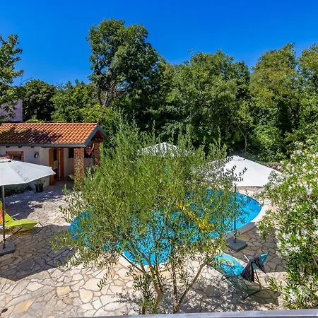 Pool House Franjo - Happy *